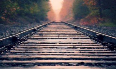 Nasihat Syaikh Shalih Fauzan Untuk Penuntut Ilmu dan Umat Islam